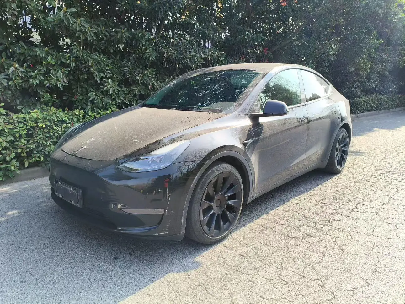 Tesla Model Y  из Китая