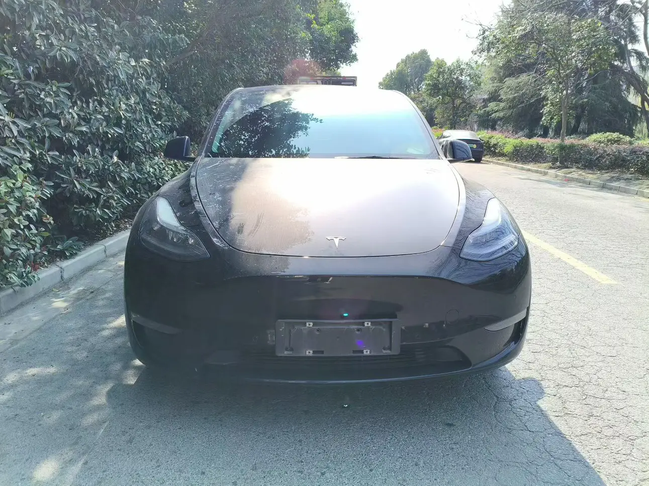 Tesla Model Y  из Китая