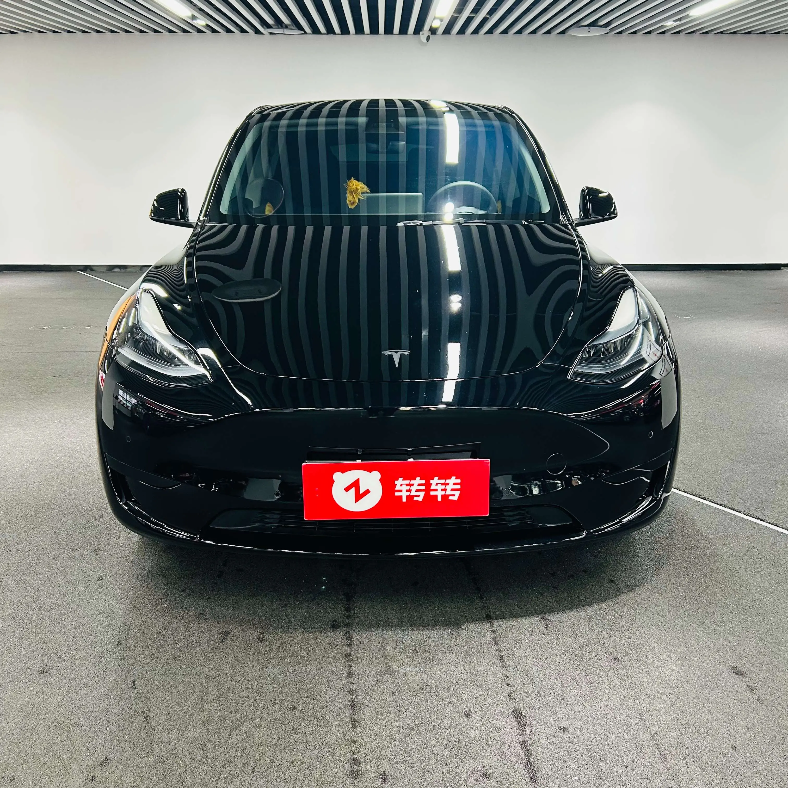 Tesla Model Y  из Китая