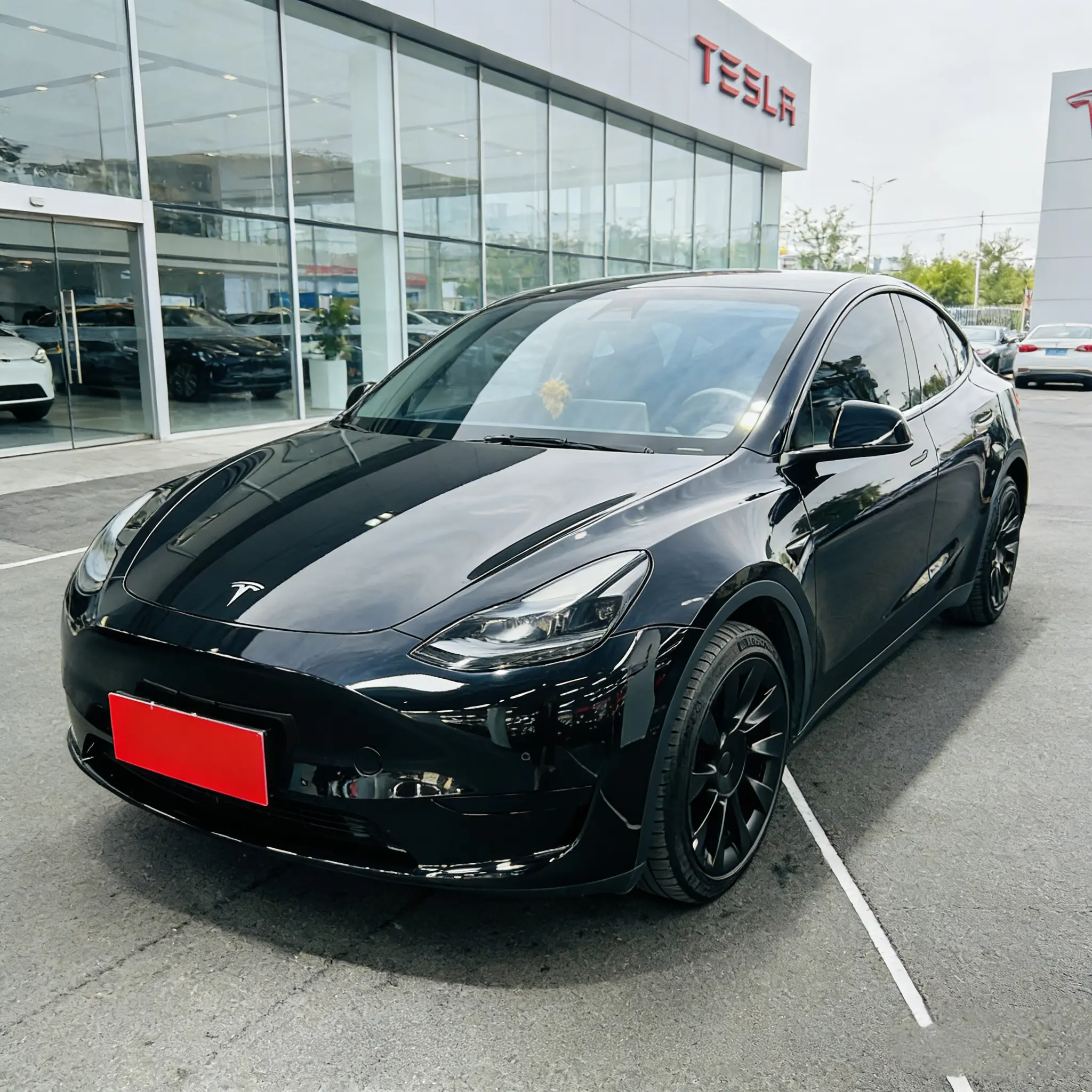 Tesla Model Y  из Китая