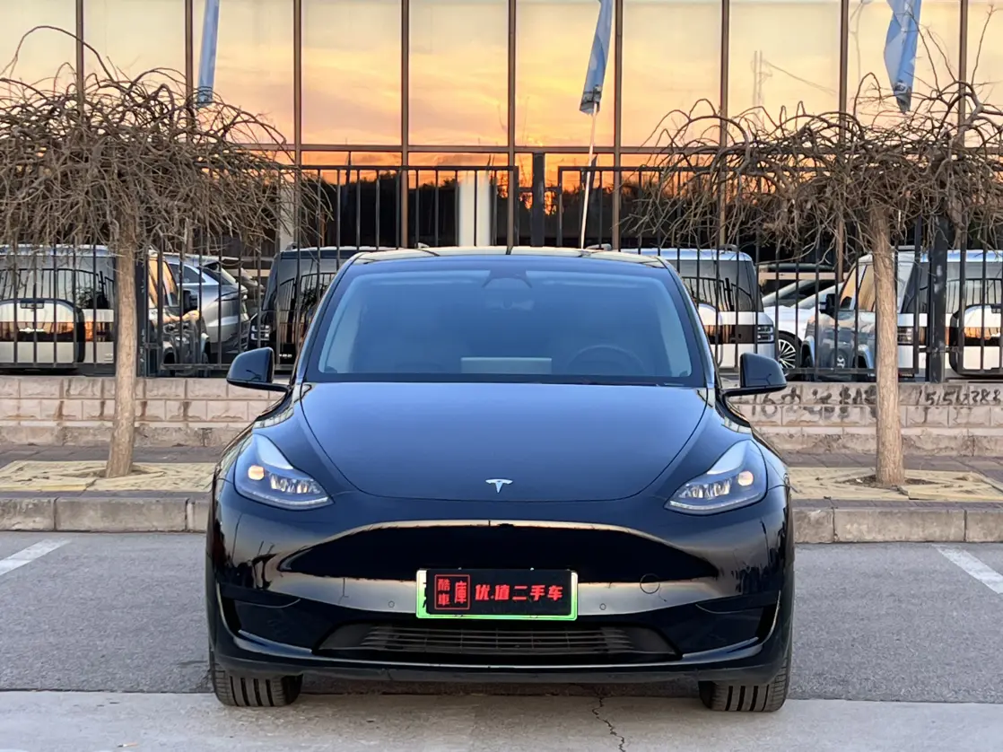 Tesla Model Y  из Китая