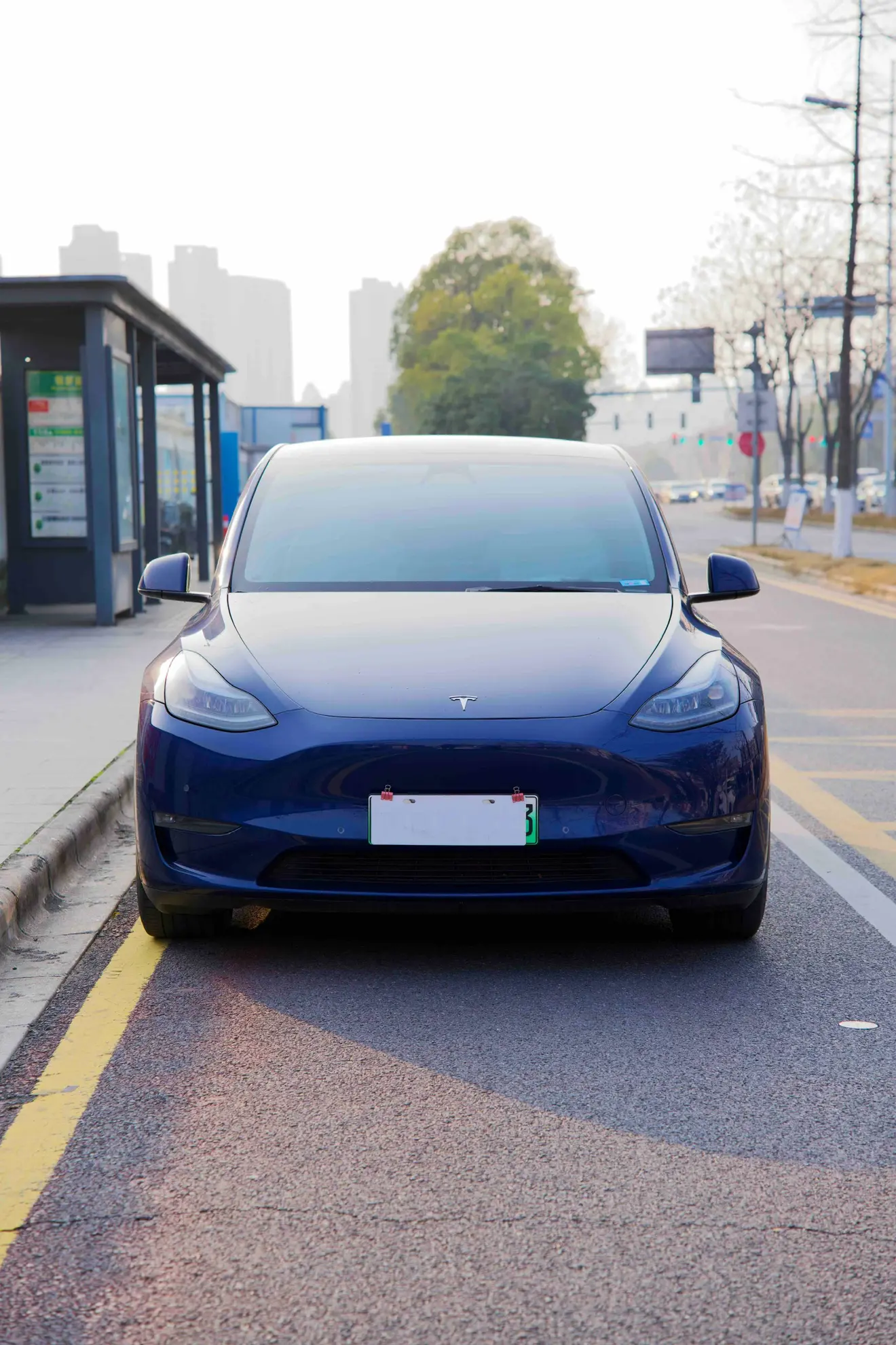 Tesla Model Y  из Китая