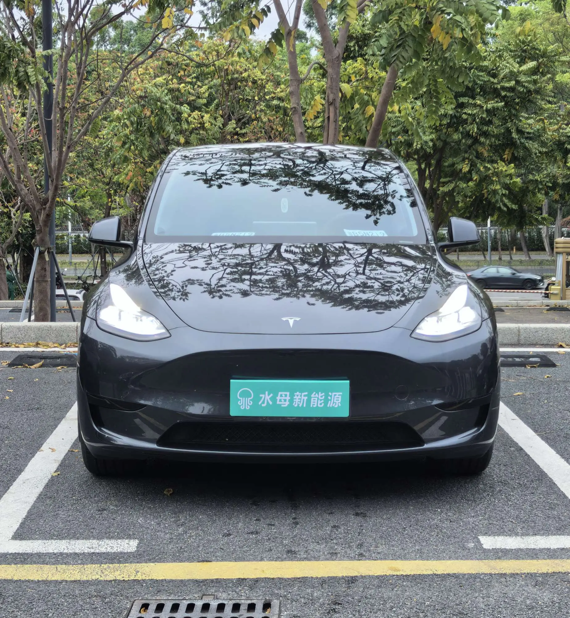 Tesla Model Y  из Китая