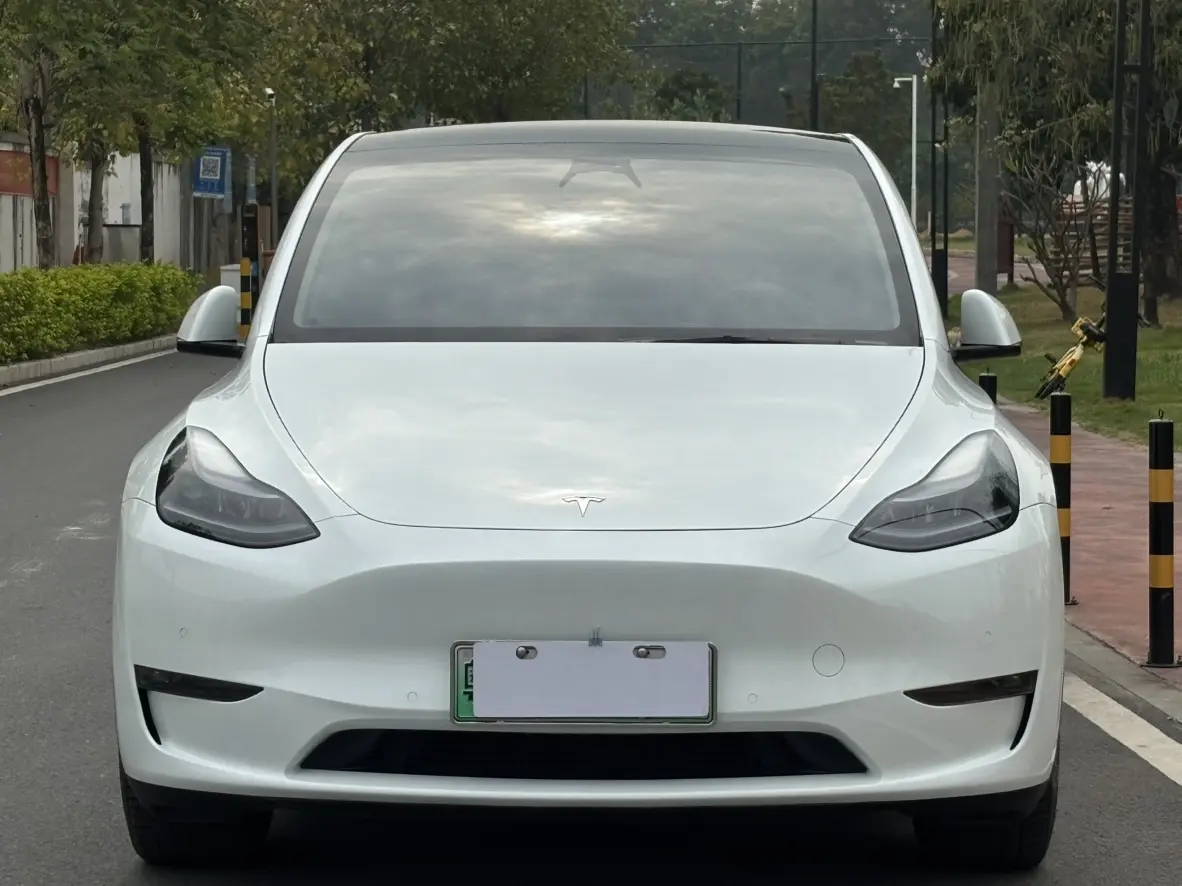 Tesla Model Y  из Китая