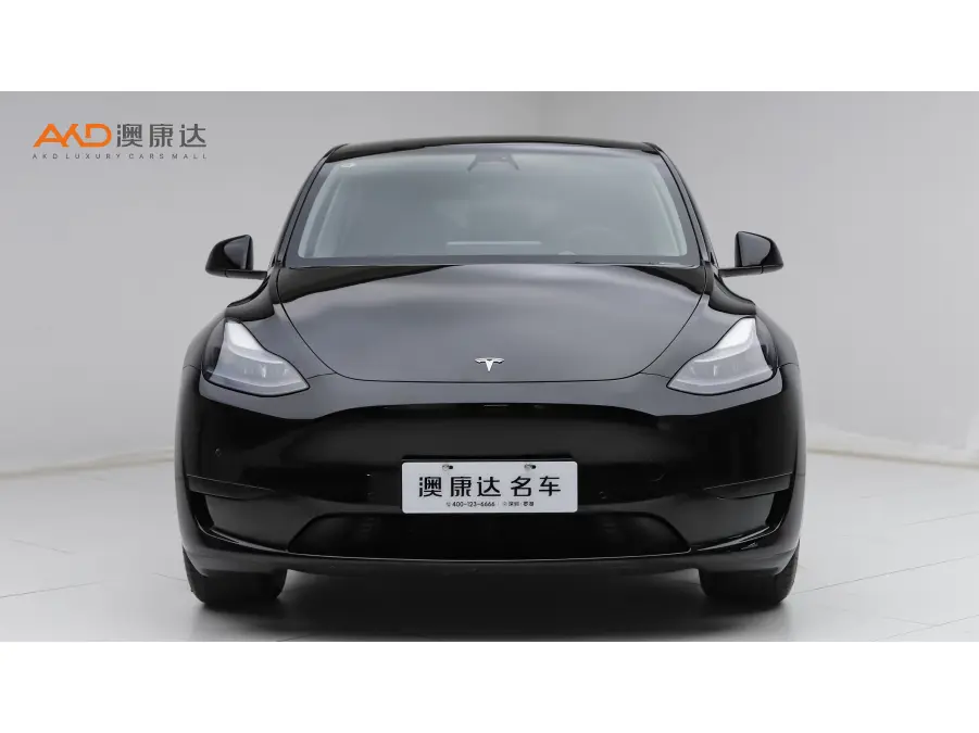 Tesla Model Y  из Китая