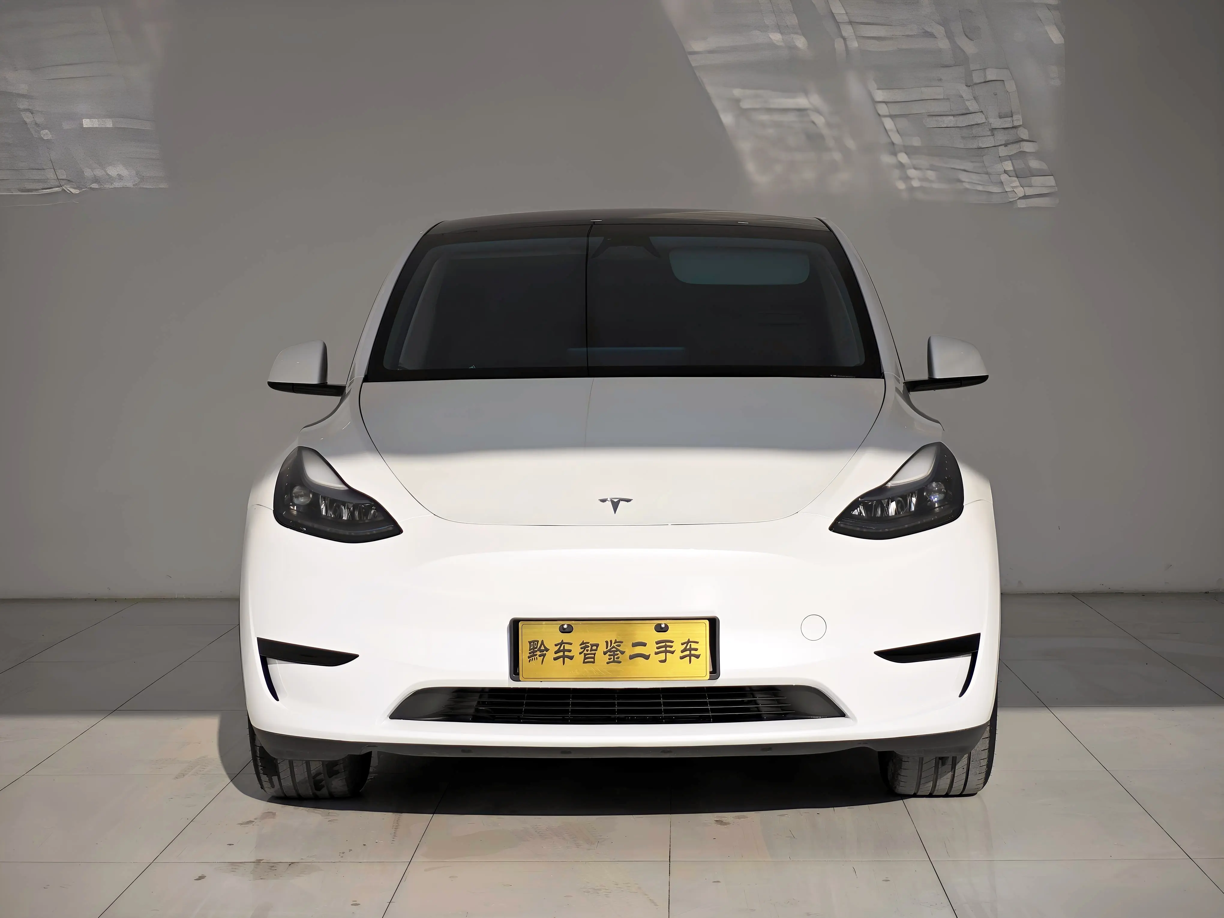 Tesla Model Y  из Китая