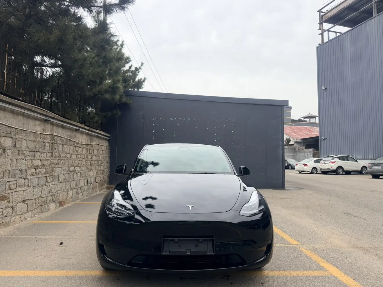 Tesla Model Y  из Китая