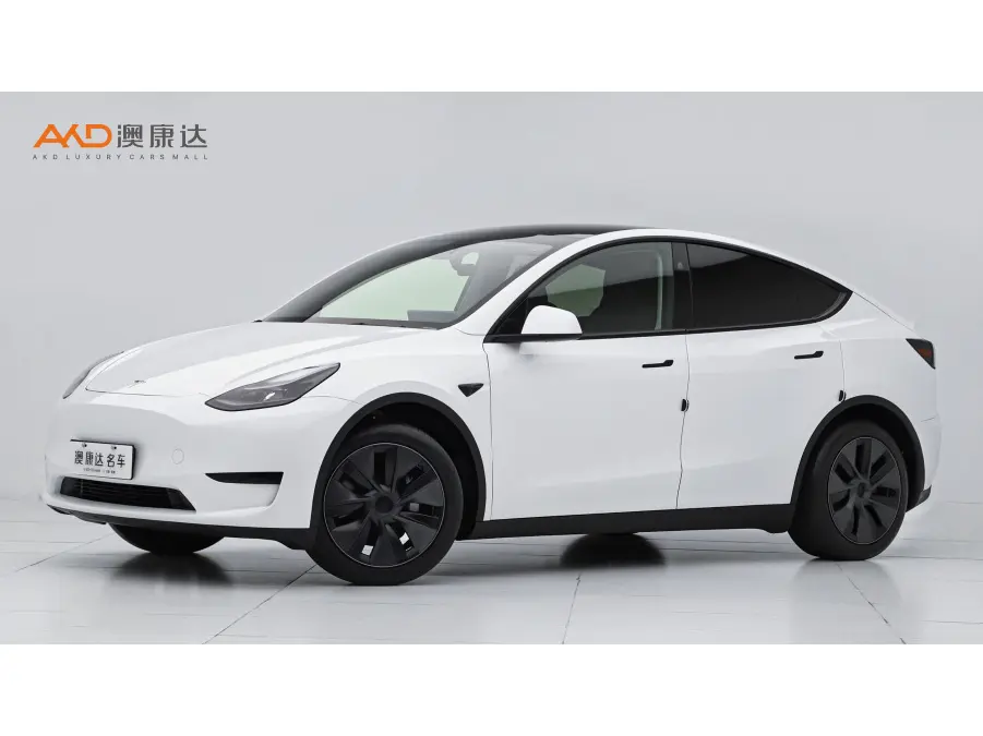 Tesla Model Y  из Китая