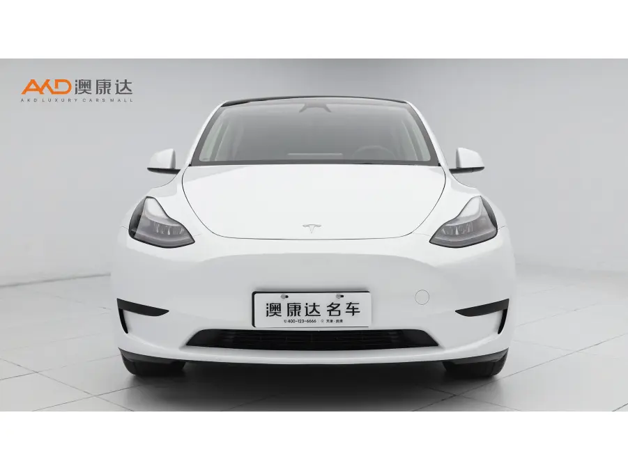 Tesla Model Y  из Китая