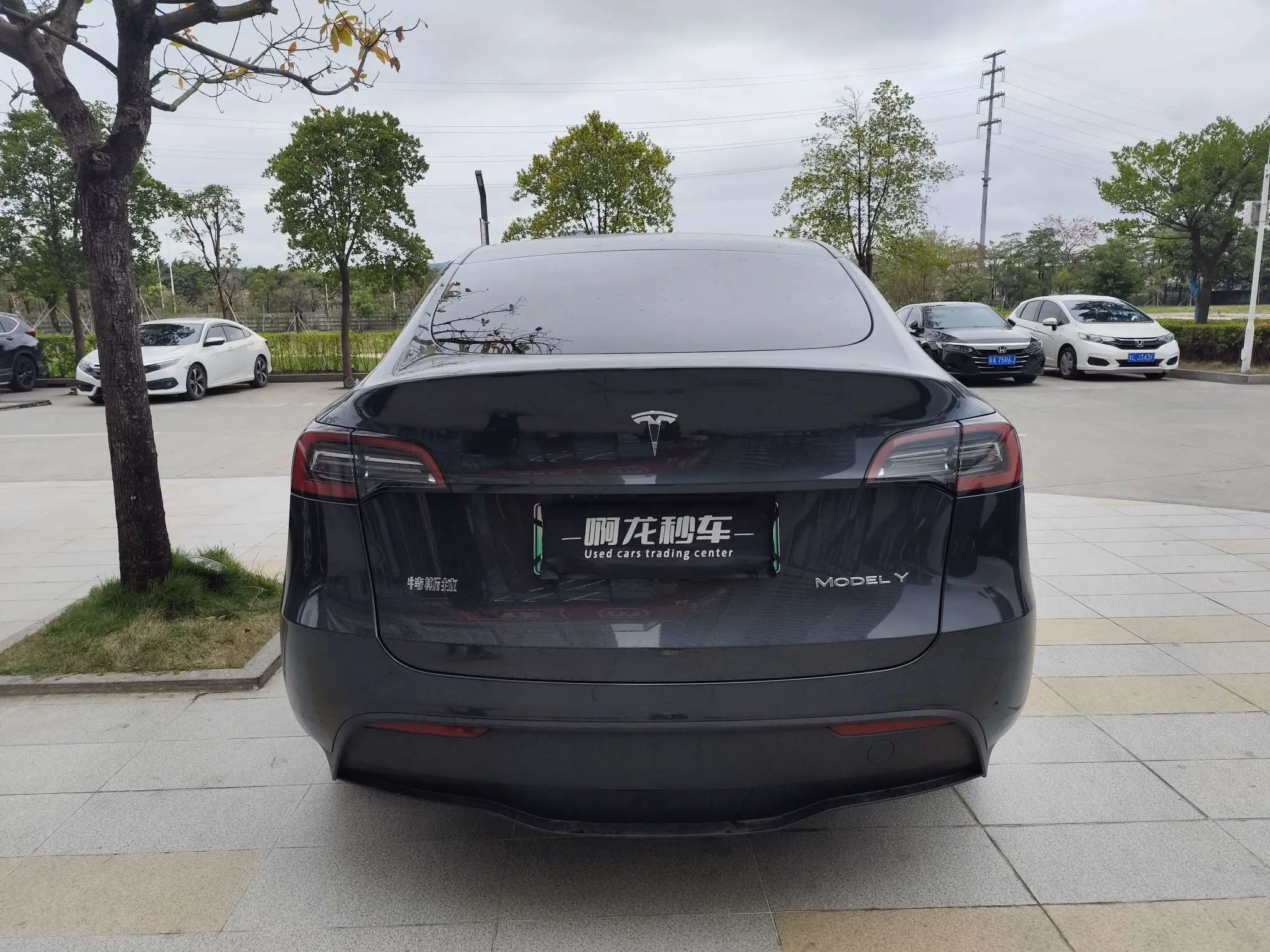 Tesla Model Y  из Китая