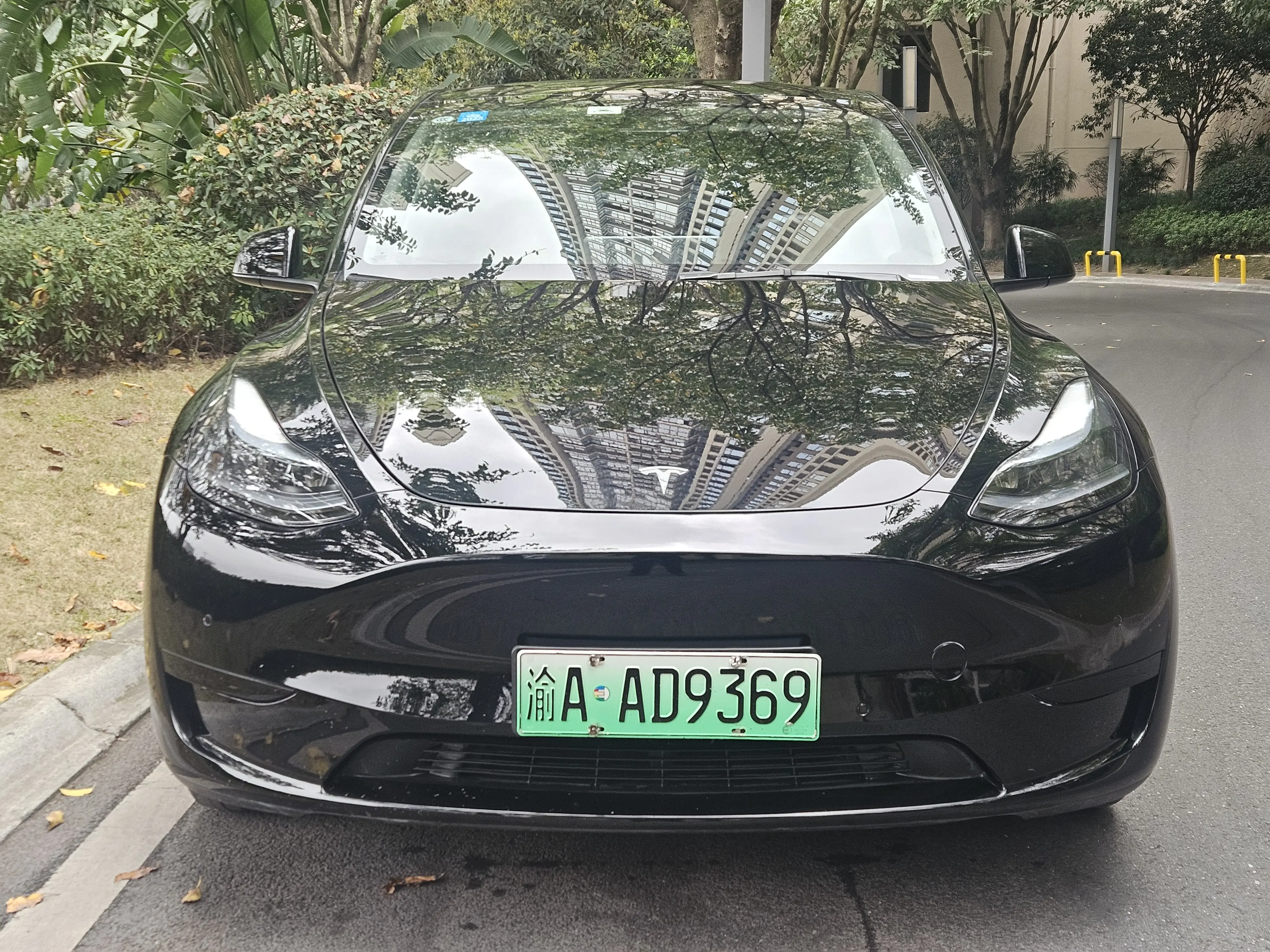 Tesla Model Y  из Китая