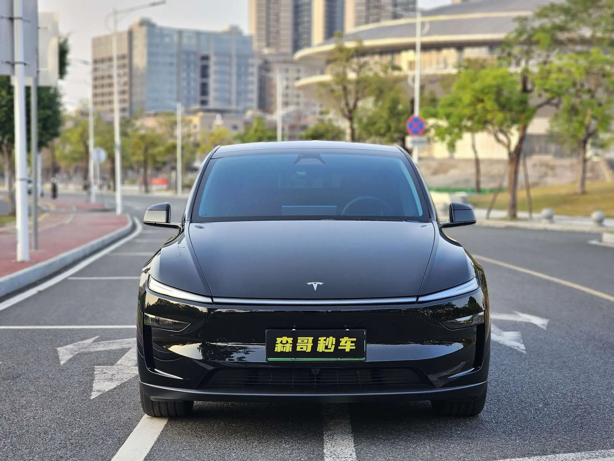 Tesla Model Y  из Китая