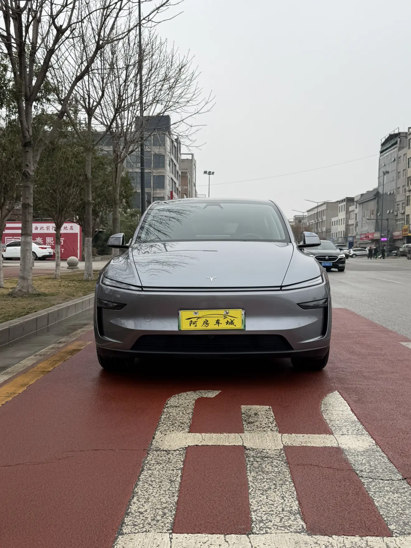 Tesla Model Y  из Китая