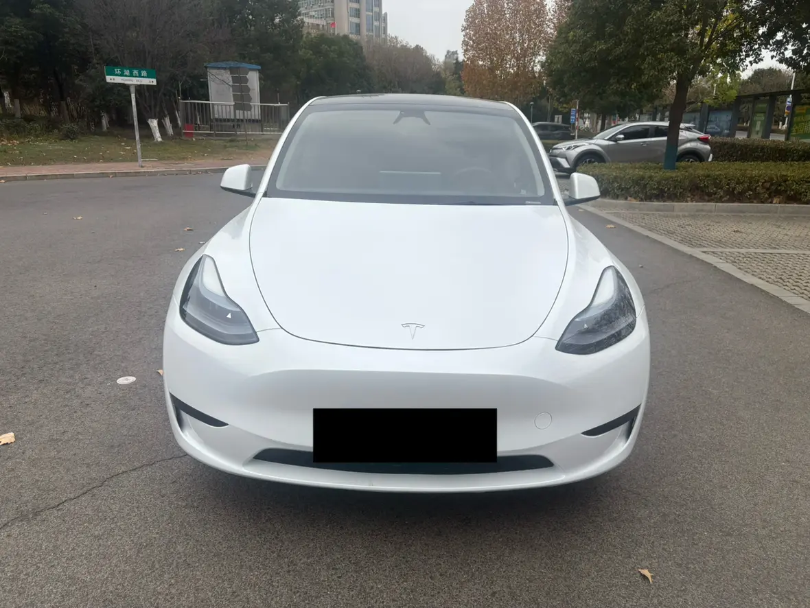 Tesla Model Y  из Китая