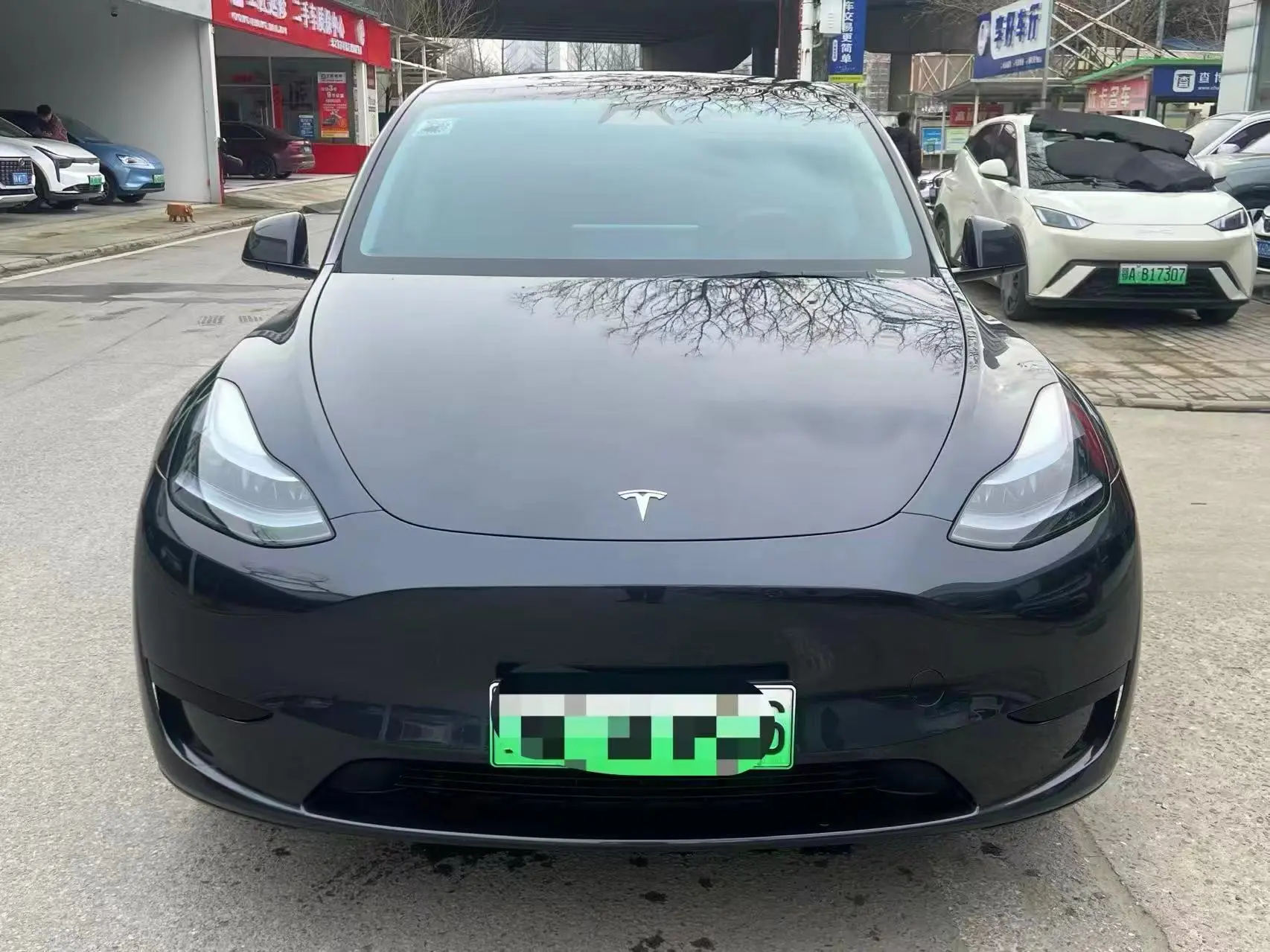 Tesla Model Y  из Китая