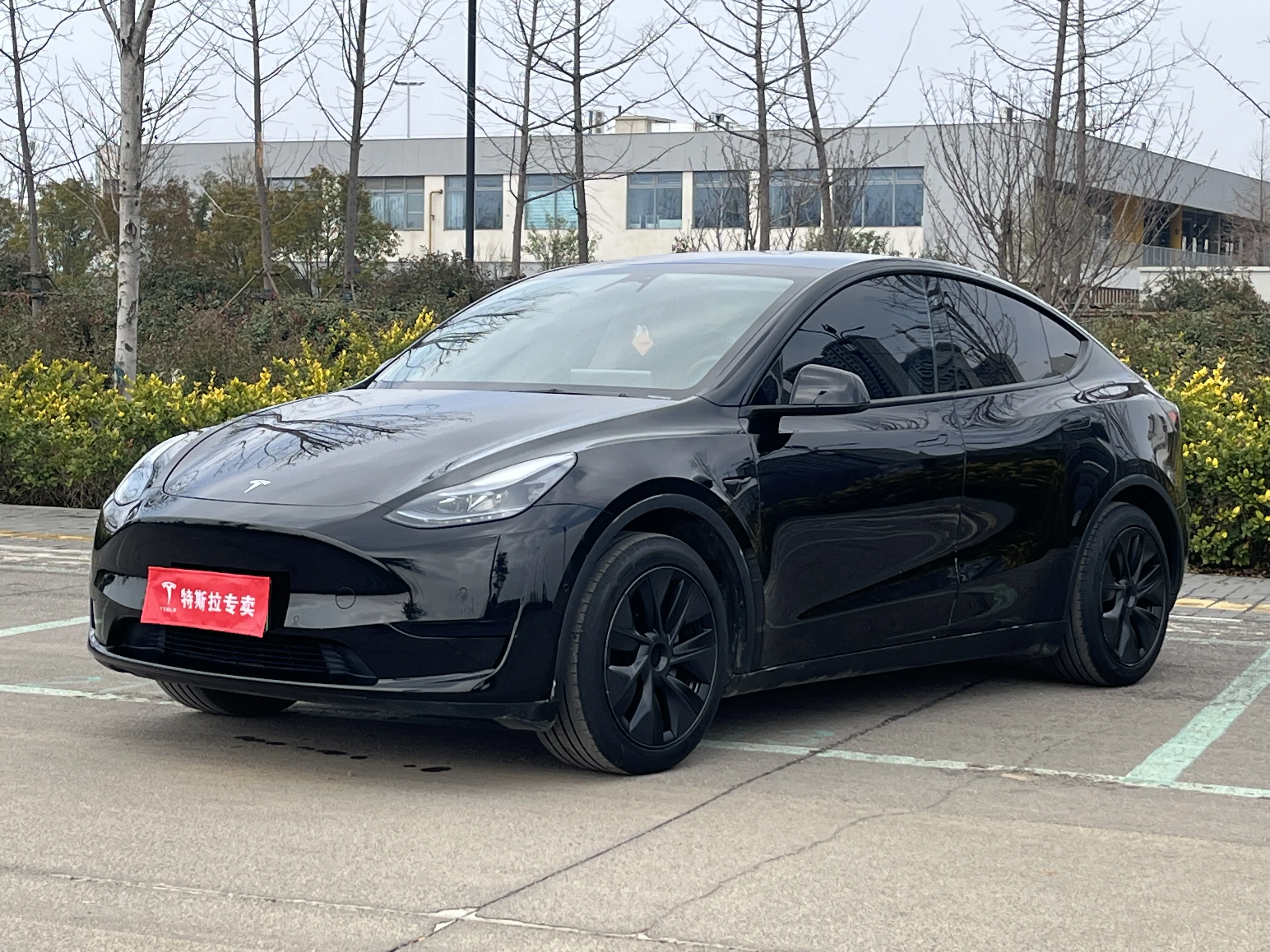 Tesla Model Y  из Китая