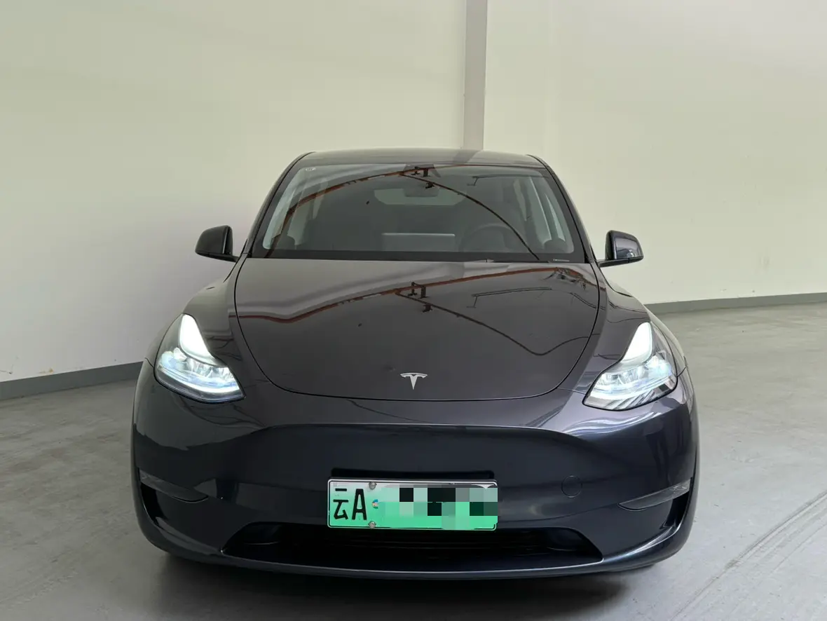 Tesla Model Y  из Китая