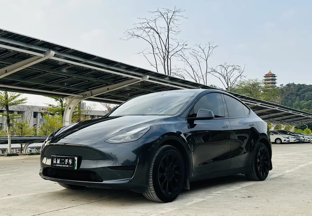 Tesla Model Y  из Китая