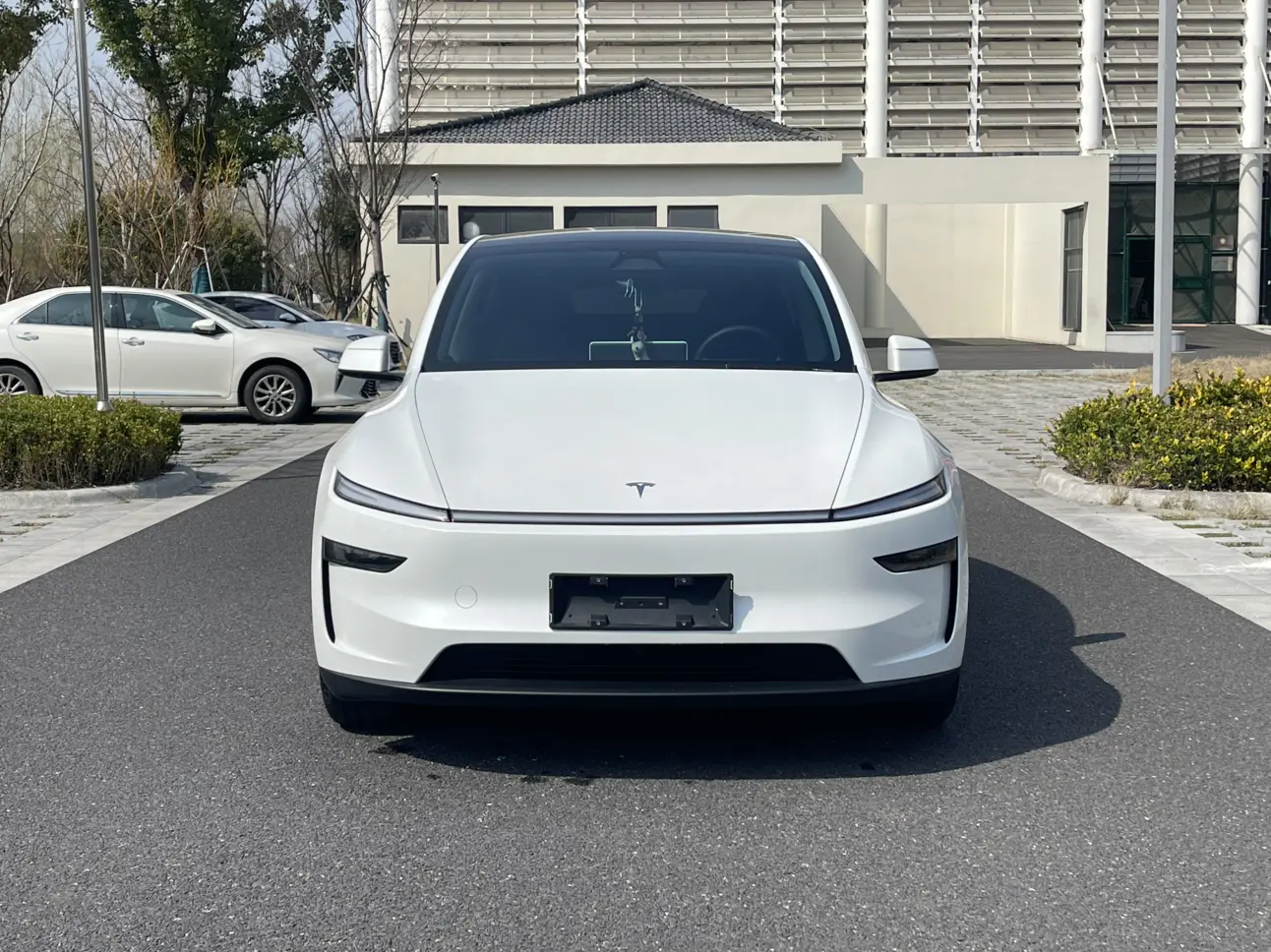 Tesla Model Y  из Китая