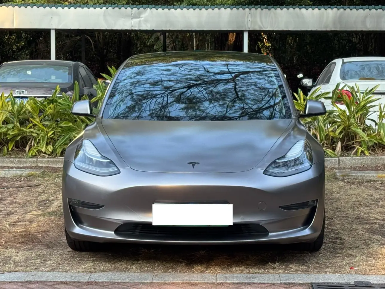 Tesla Model 3  из Китая