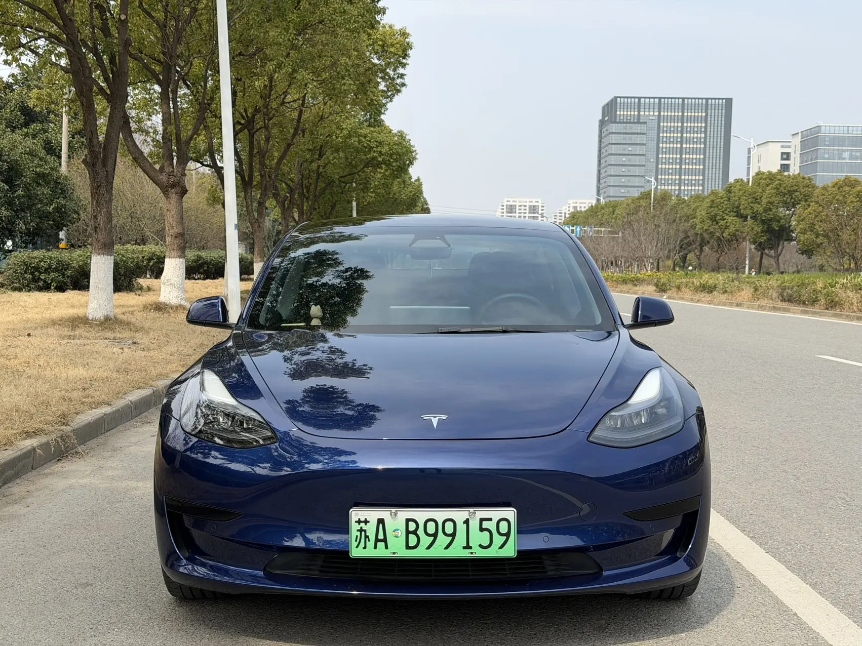 Tesla Model 3  из Китая