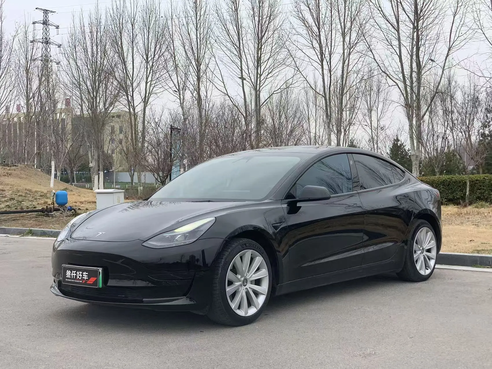 Tesla Model 3  из Китая
