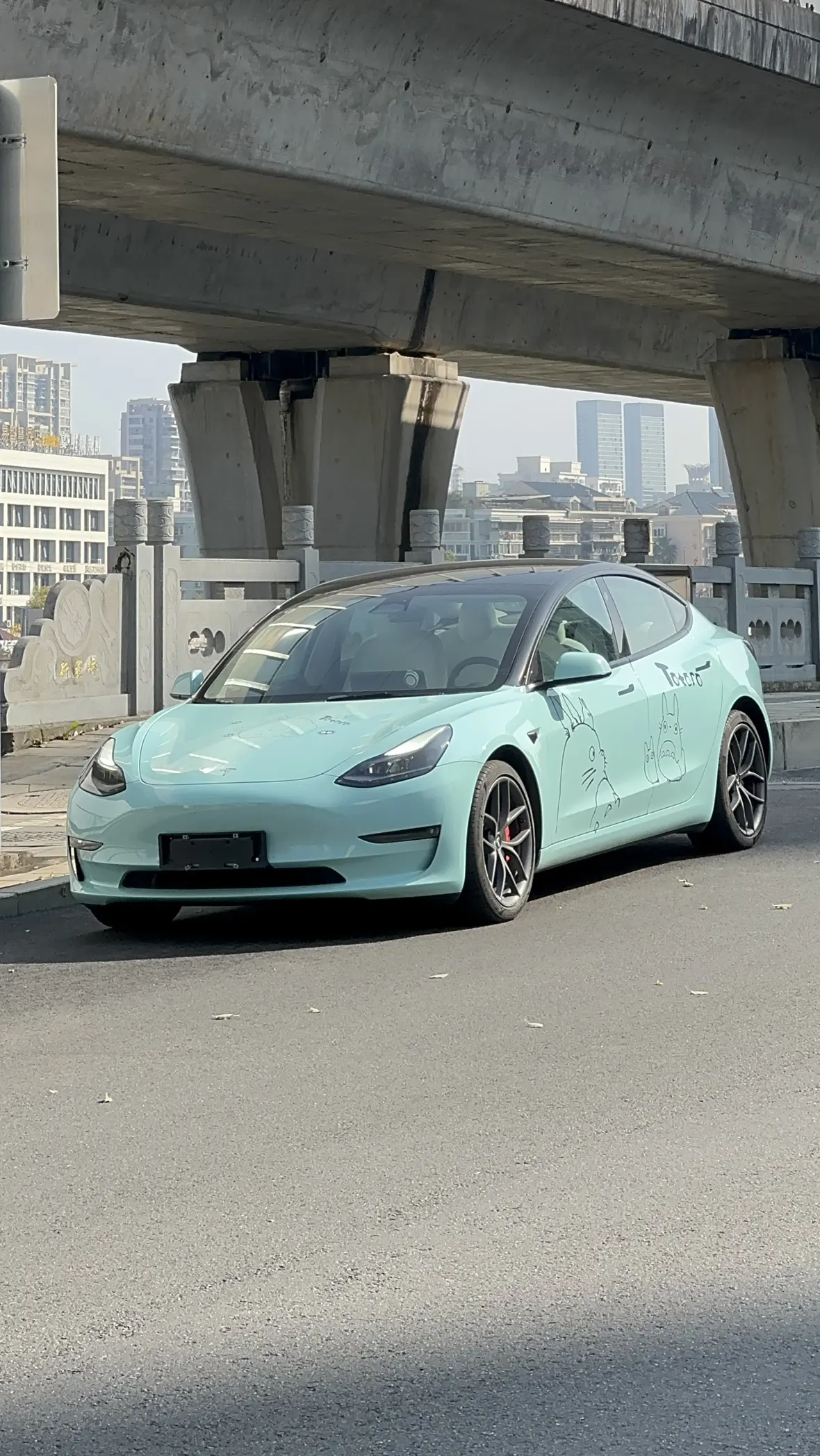 Tesla Model 3  из Китая