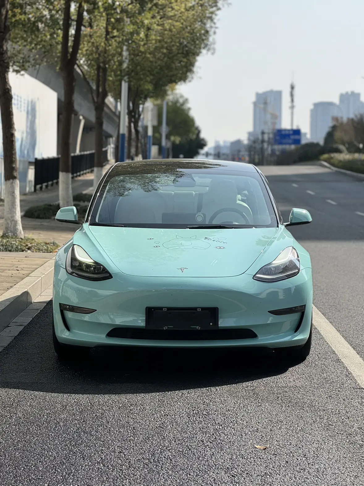 Tesla Model 3  из Китая
