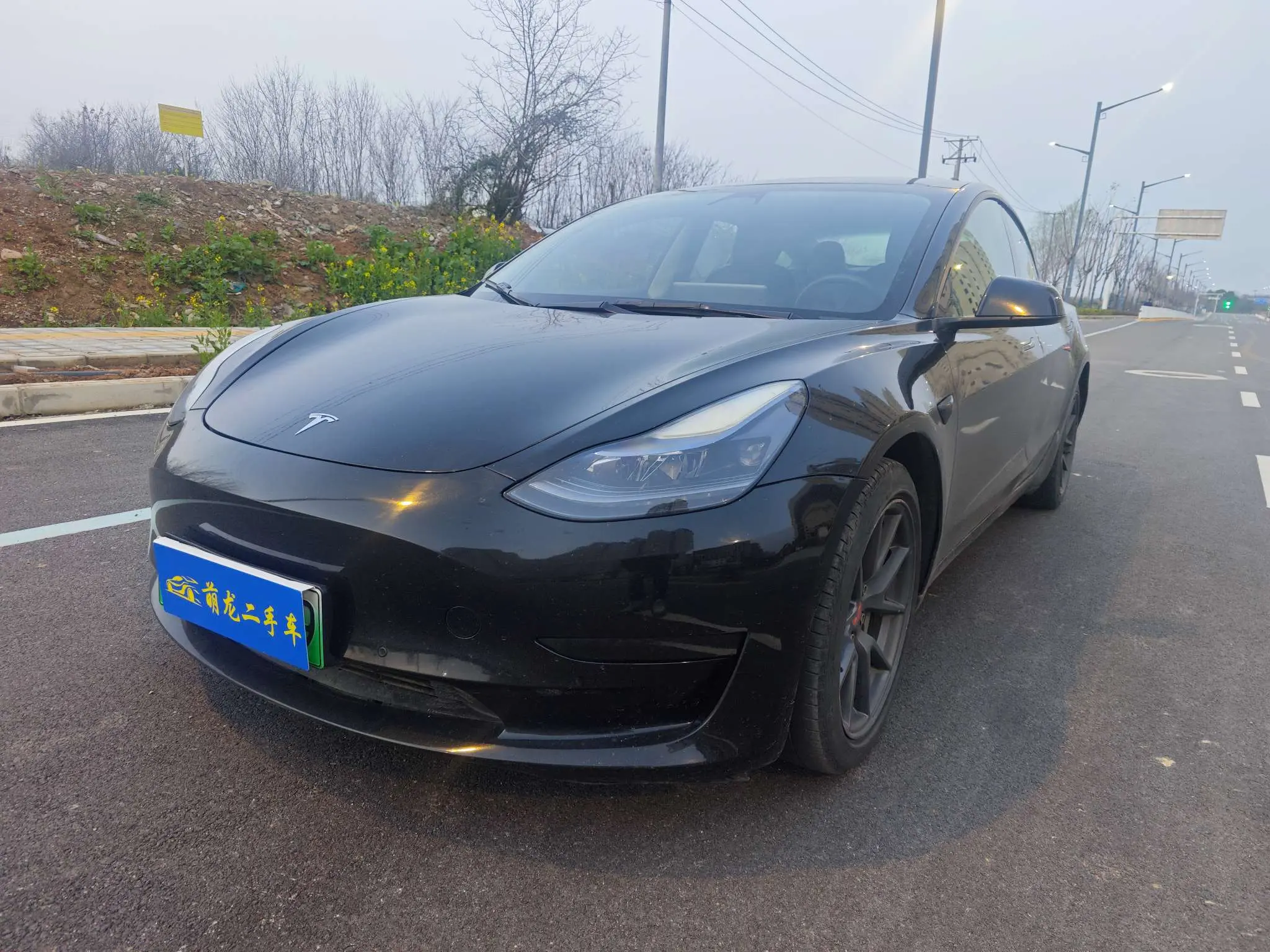 Tesla Model 3  из Китая