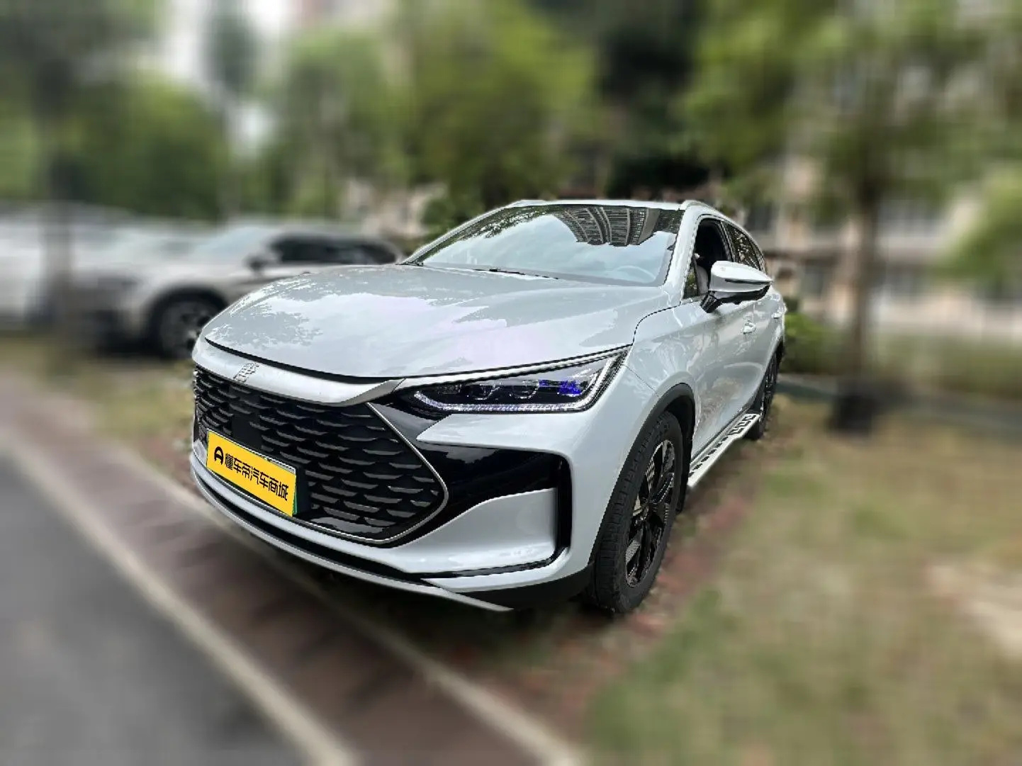 BYD Tang DM