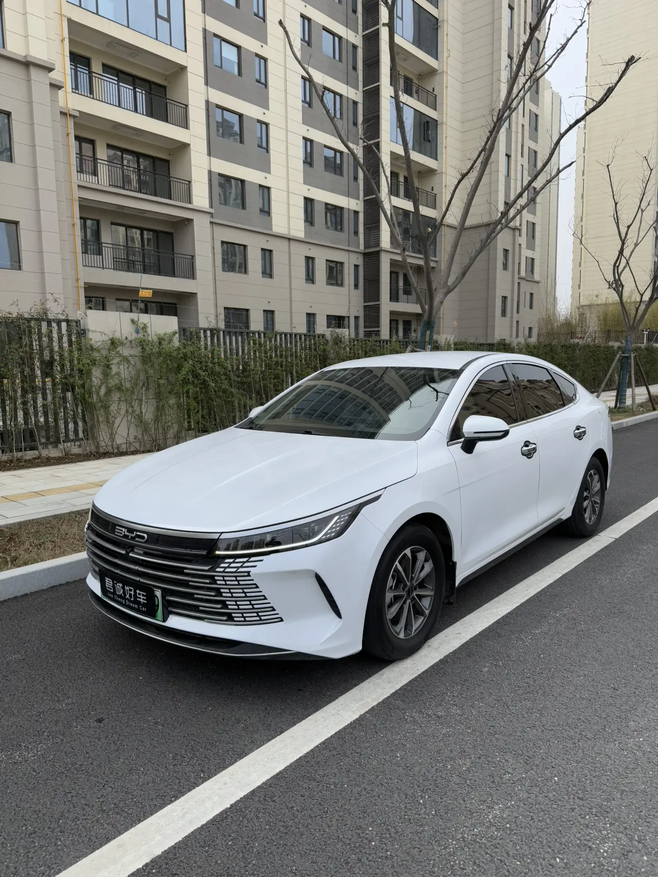 BYD Destroyer 05  из Китая