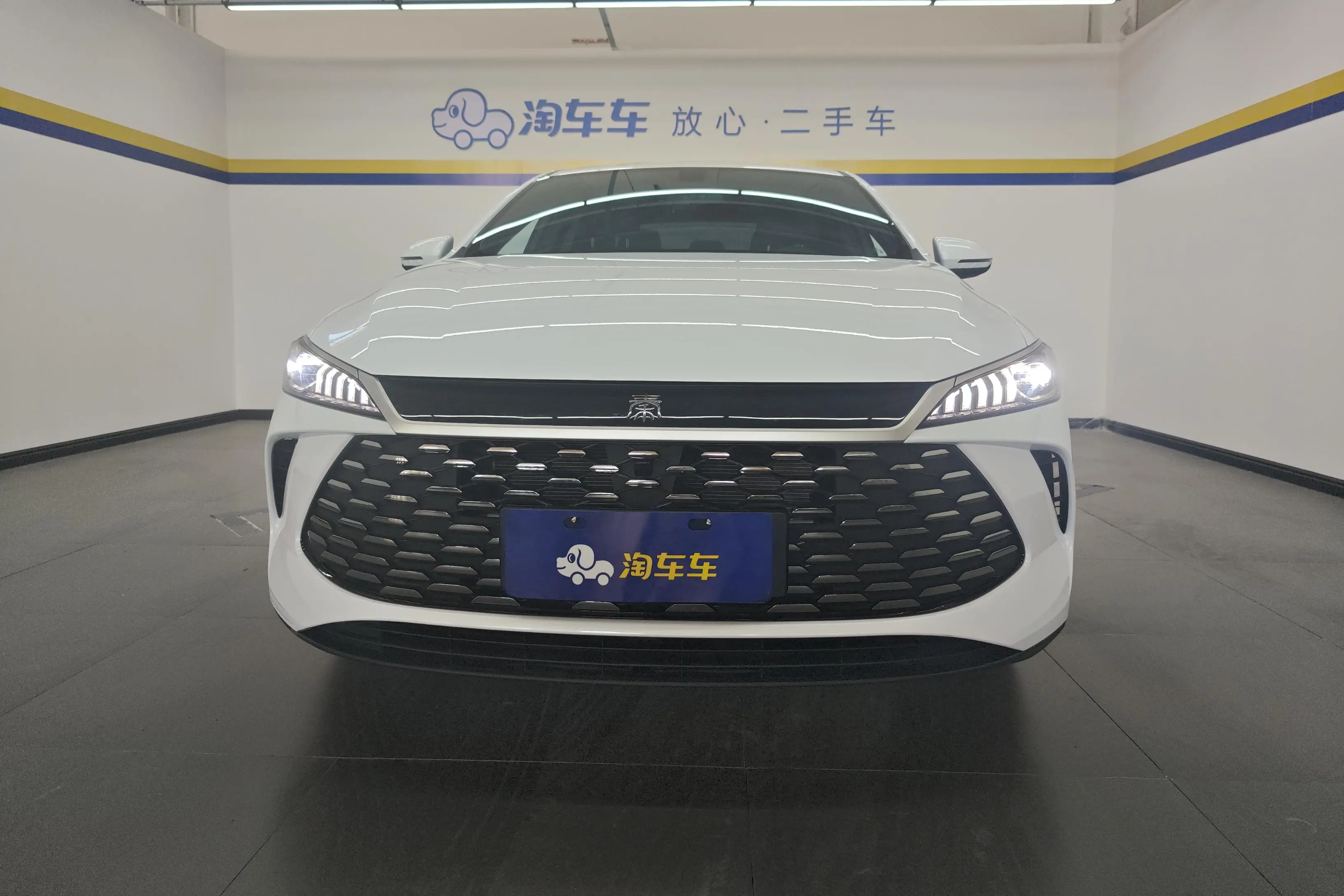 BYD Qin PLUS DM