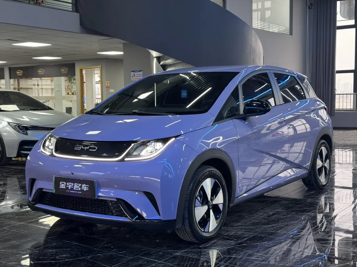 BYD Dolphin  из Китая