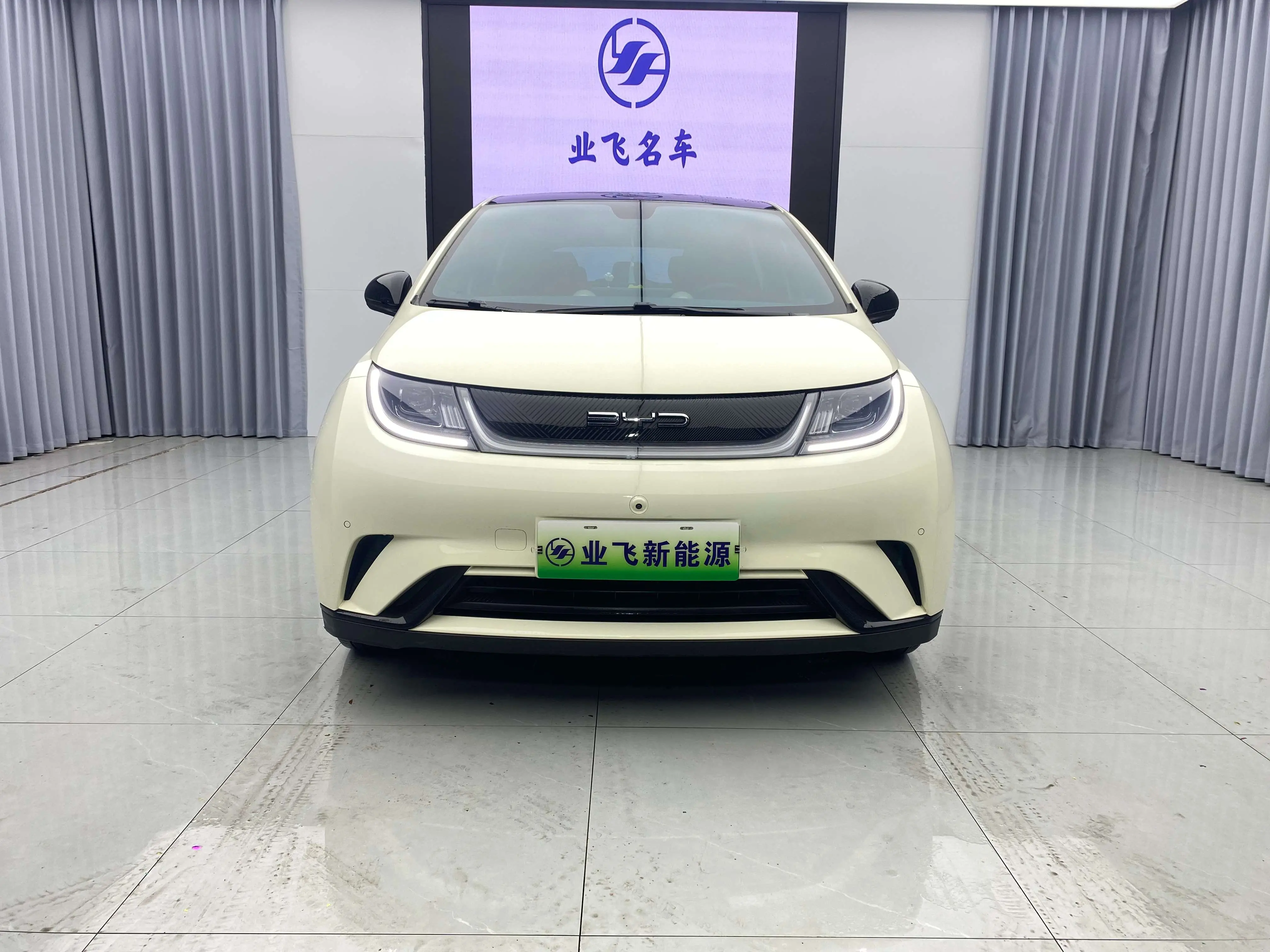 BYD Dolphin  из Китая