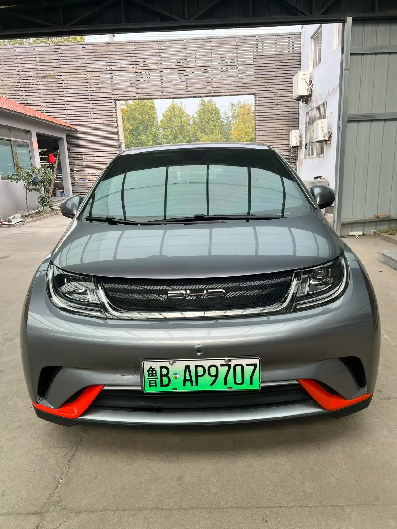 BYD Dolphin  из Китая