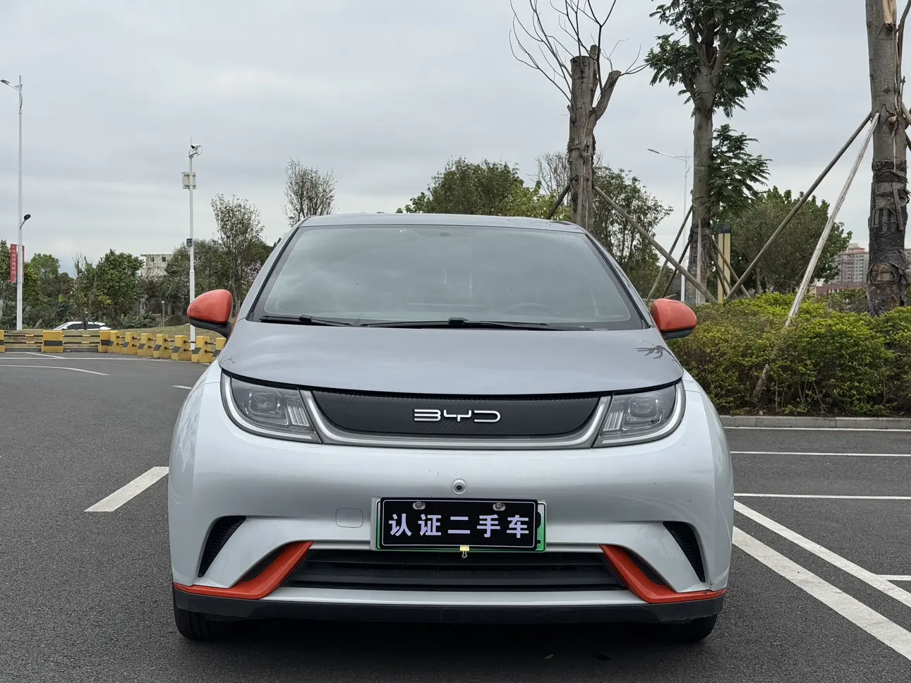 BYD Dolphin  из Китая