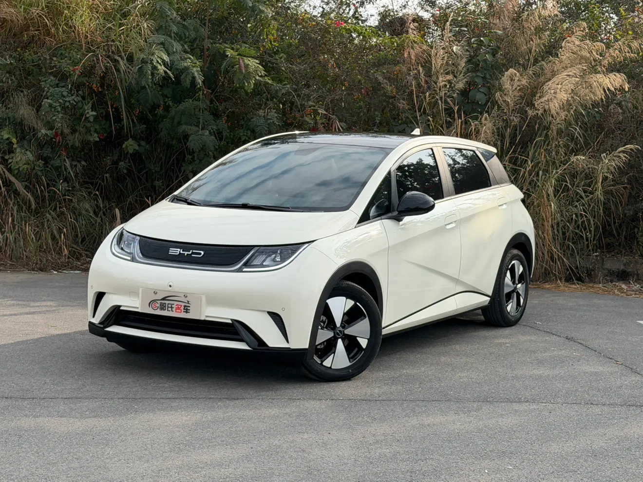 BYD Dolphin  из Китая