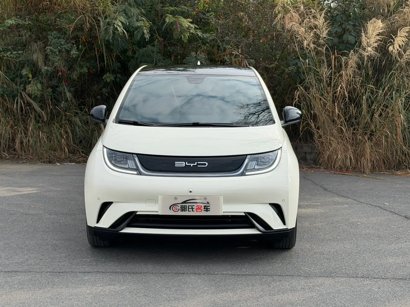 BYD Dolphin  из Китая