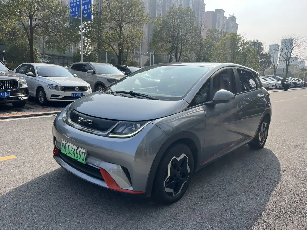 BYD Dolphin  из Китая