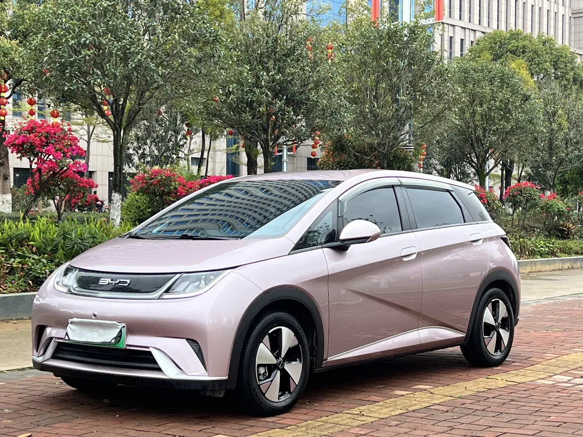 BYD Dolphin  из Китая