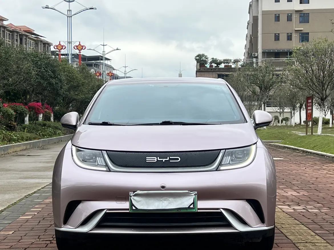 BYD Dolphin  из Китая