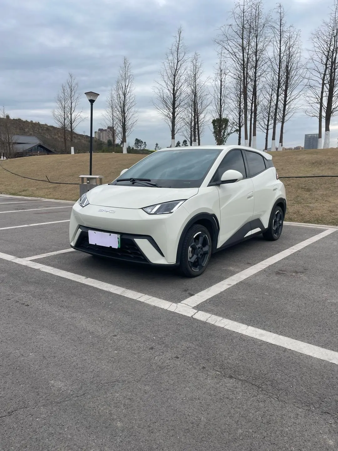 BYD Seagull  из Китая