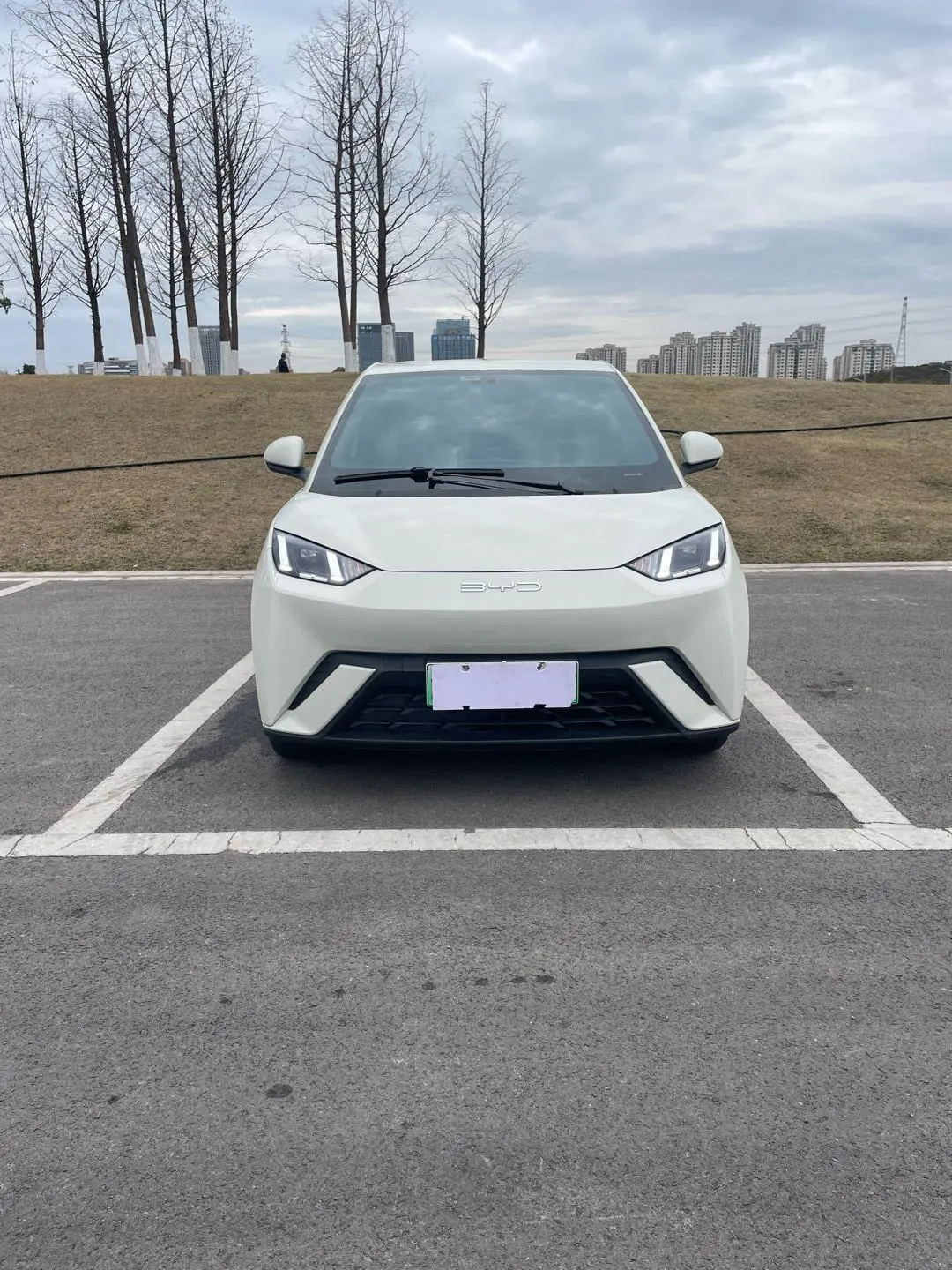 BYD Seagull  из Китая