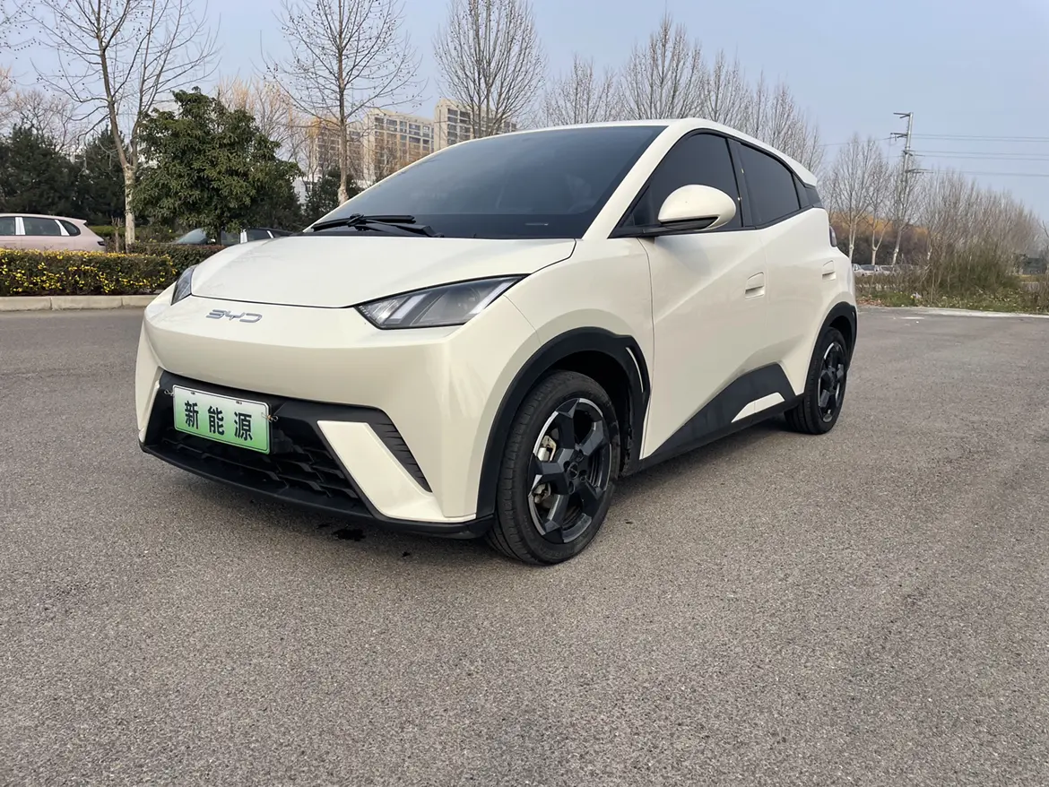 BYD Seagull  из Китая