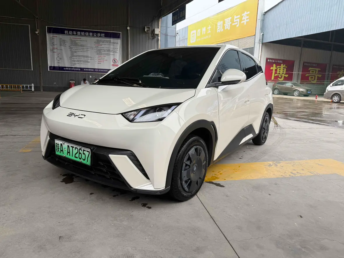 BYD Seagull  из Китая