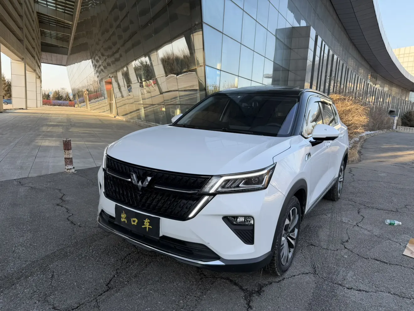 Wuling Star