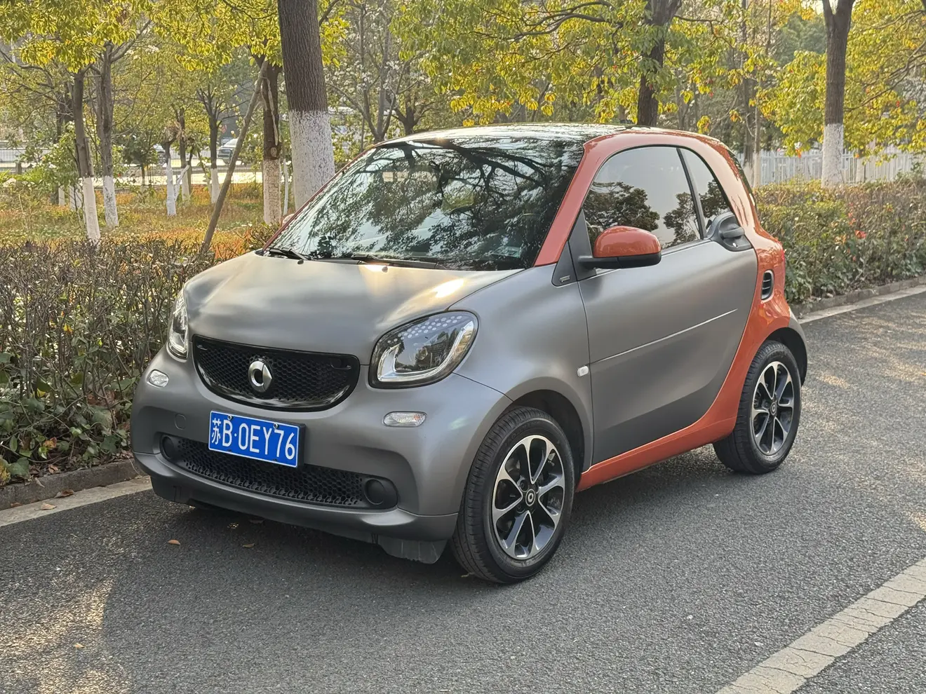 Smart fortwo  из Китая