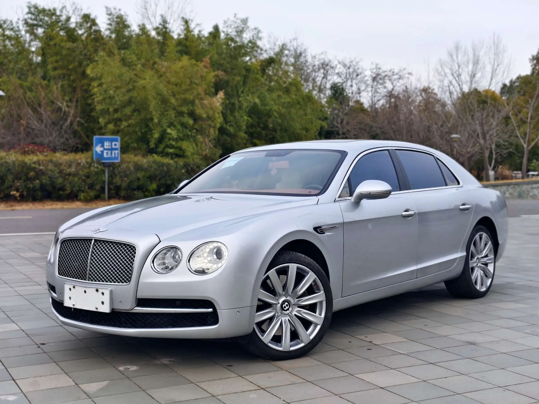 Bentley Galloping