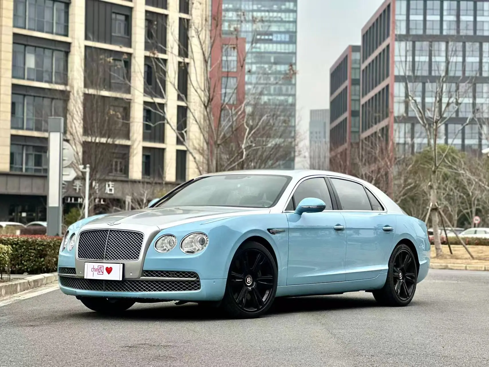 Bentley Galloping