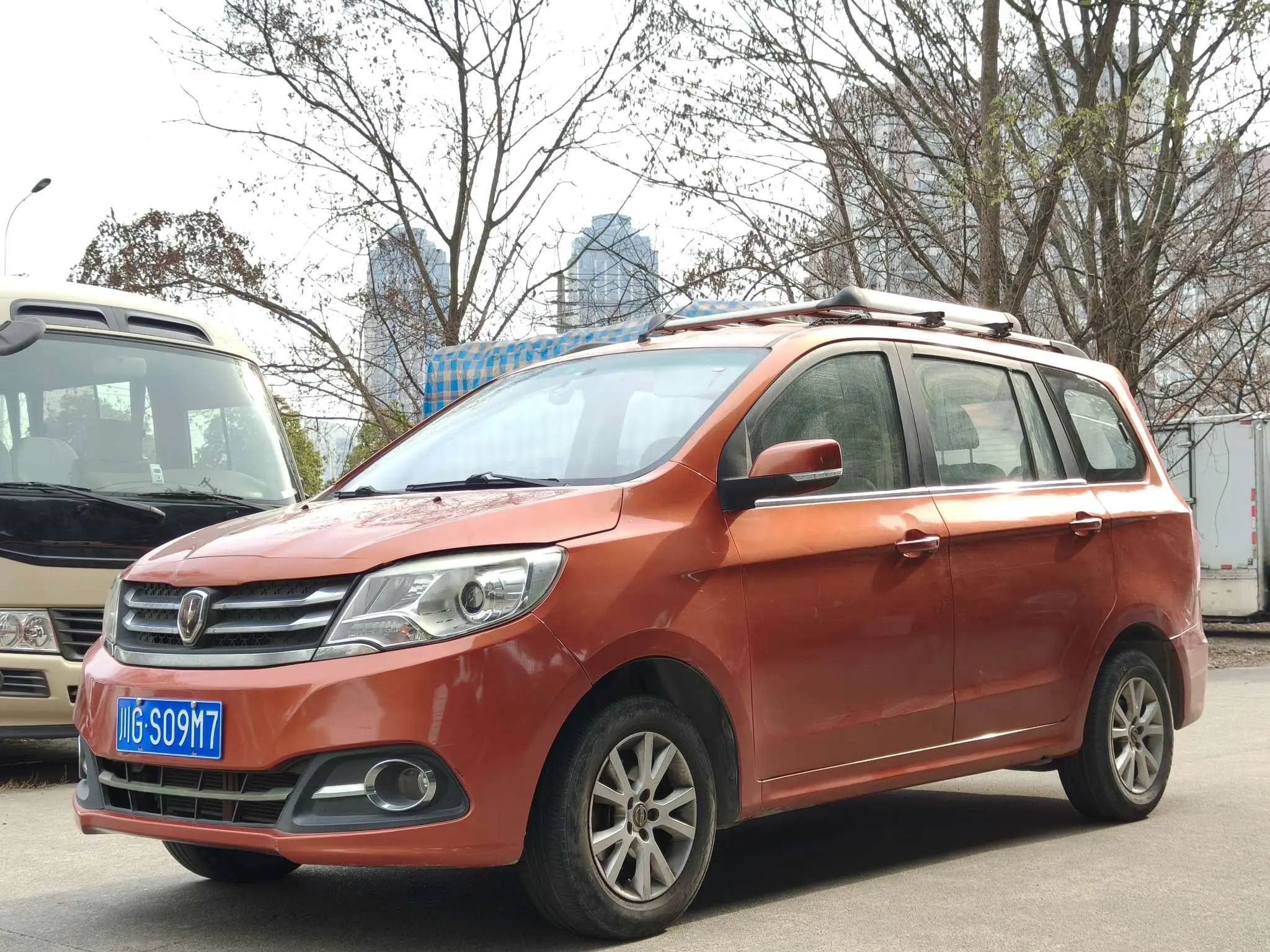 Golden cup Brilliance Jinbei 750